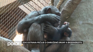 Zoo Ostrava pečuje o ohrožené druhy a biodiverzitu